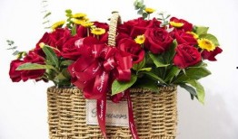 花篮网最新爆料网站下载,网站下载背后的秘密与最新动态